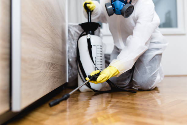 Best Ant Control Services  in Aberdeen, OH