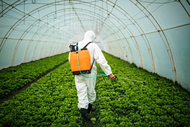 Reliable Aberdeen, OH Pest Control Solutions