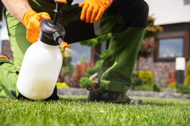 Best Commercial Pest Control Services  in Aberdeen, OH