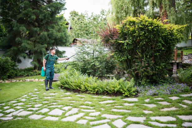 Best Pest Prevention Services  in Aberdeen, OH