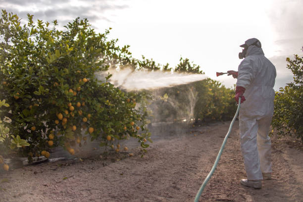 Best Best Pest Control Companies  in Aberdeen, OH