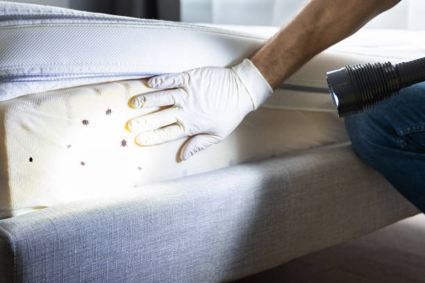 Best Affordable Pest Control Services  in Aberdeen, OH