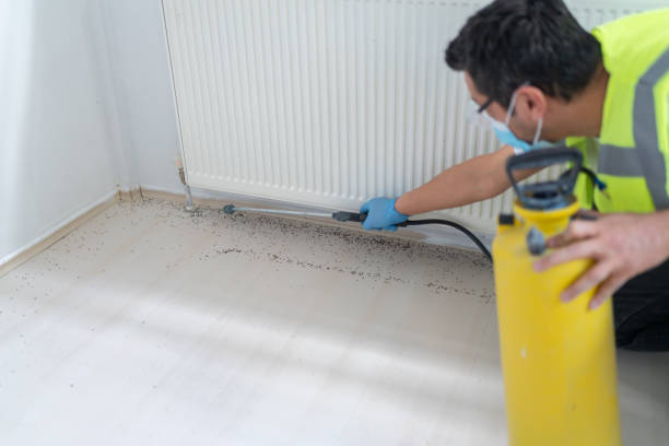 Best Wasp Removal Services  in Aberdeen, OH