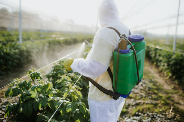 Flea Control Services in Aberdeen, OH